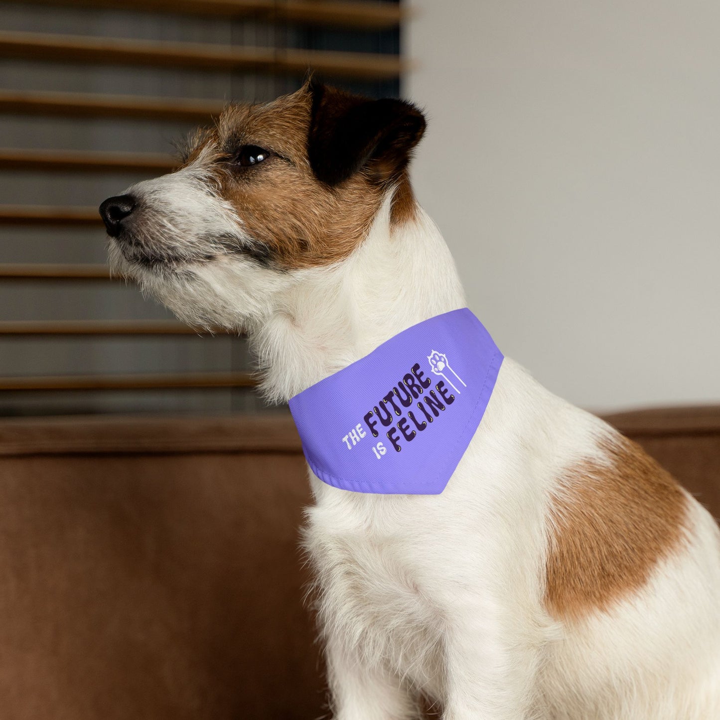 The Future is Feline Pet Bandana