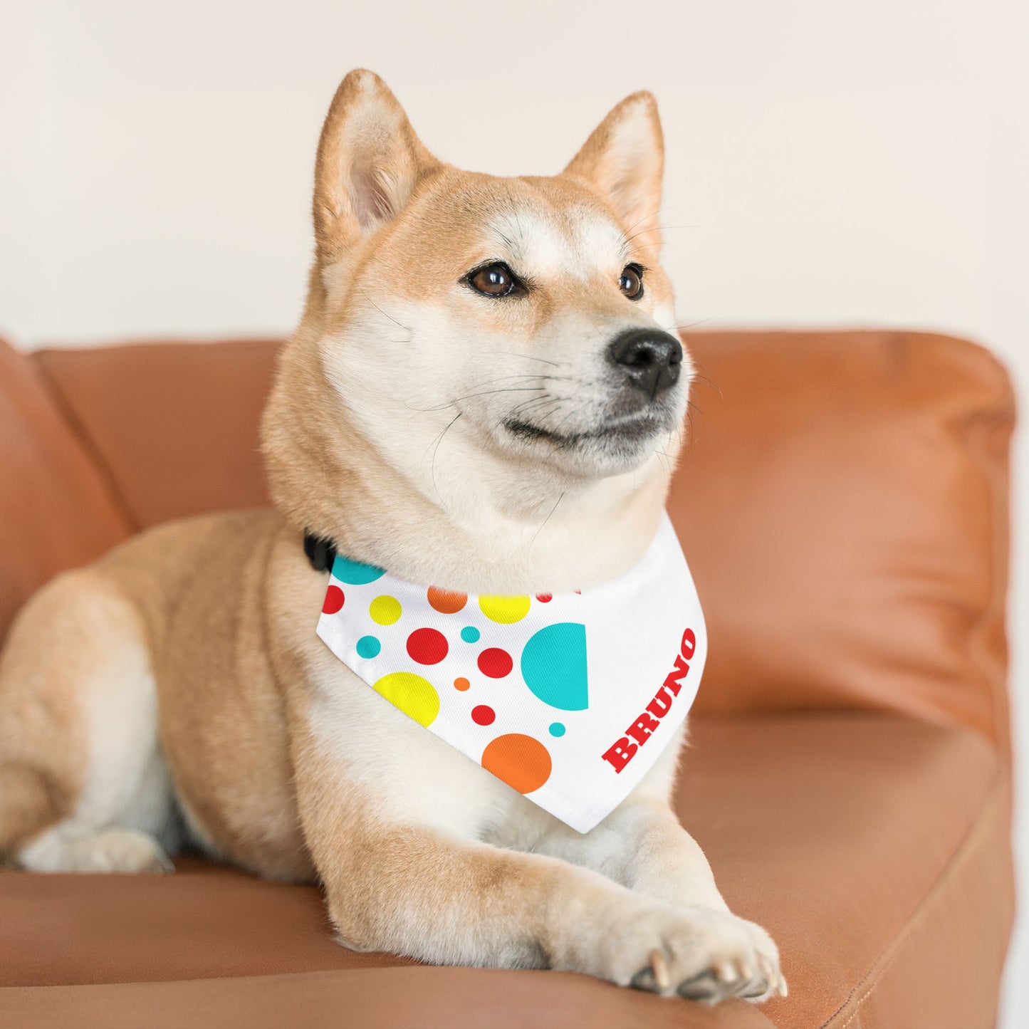 Clown Party Personalized Pet Bandana