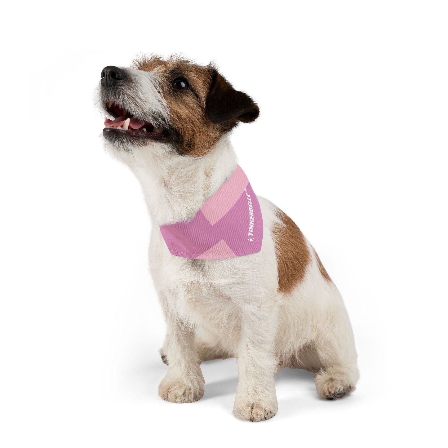 Pinks Personalized Two-Toned Pet Bandana