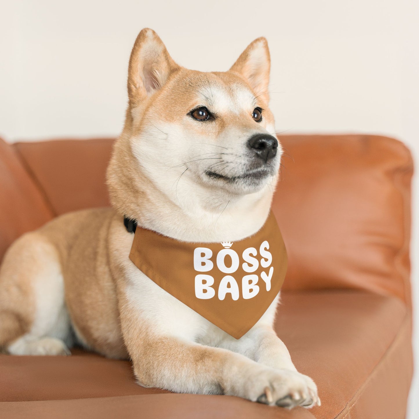 Boss Baby Pet Bandana Collar