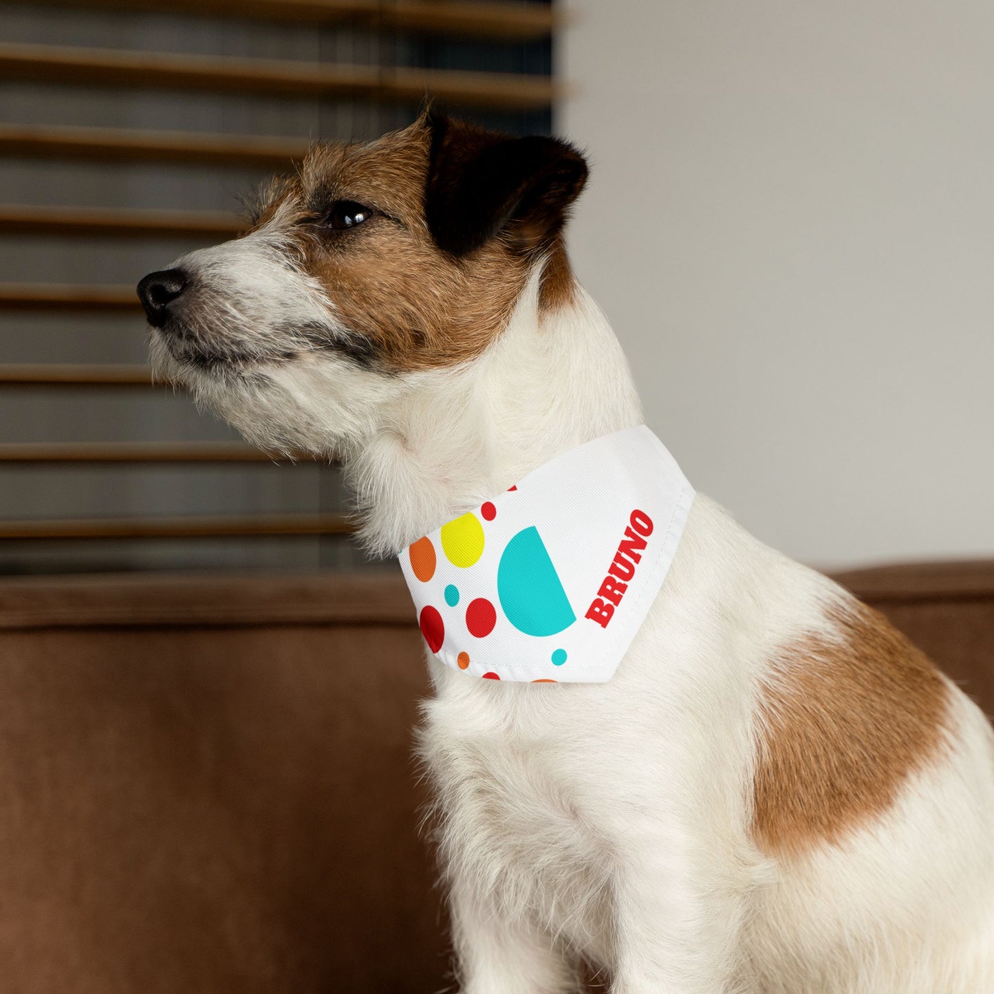 Clown Party Personalized Pet Bandana