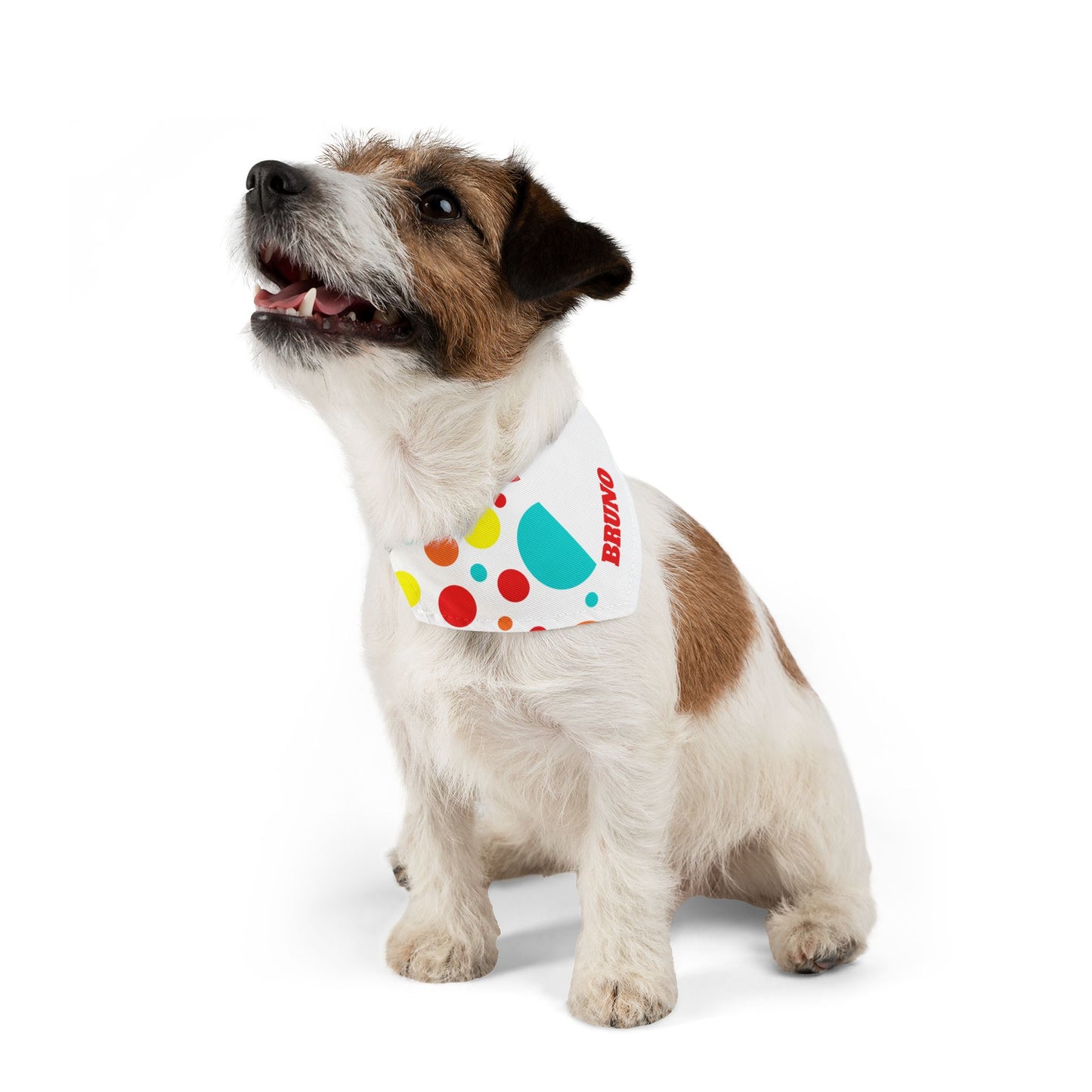 Clown Party Personalized Pet Bandana